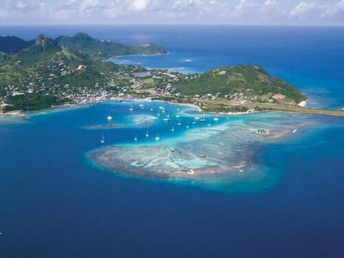 Un coucou de carriacou