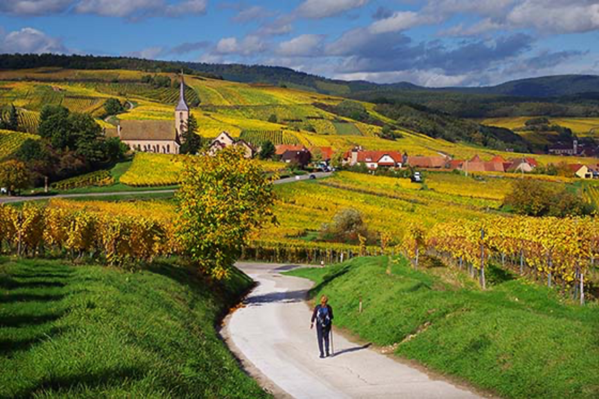 ROUTE DES VINS EN ALSACE … 