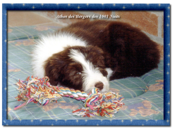 Athos Athos