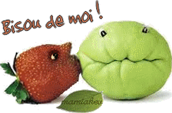 - Fruits exotiques - Recette : Panna Cotta exotique