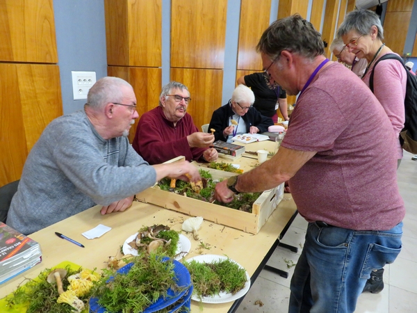 Une très belle exposition mycologique, organisée par la Société Mycologique du Châtillonnais, a eu lieu à Montbard 