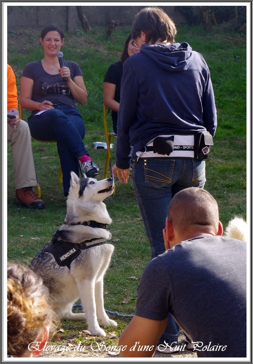 Cani-rando de Moulayrès (25 octobre 2015)