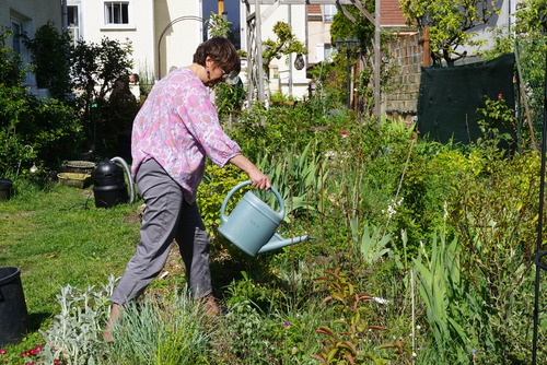 Les jardinières du dimanche à l'oeuvre