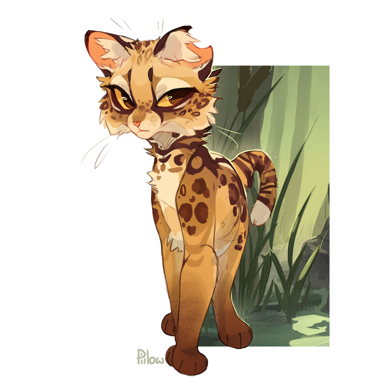 Leopardfur (sketchy) by GrayPillow on DeviantArt