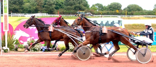 Hippodrome de la Baie Yffiniac - Réunion du 1er Juin 2014