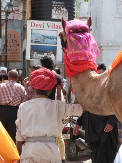 Le Rajasthan