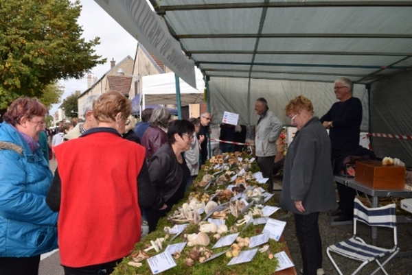 La Société Mycologique du Châtillonnais a tenu son Assemblée Générale 2018