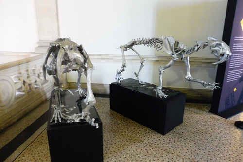 Marseille le Muséum d'histoire naturelle du Palais Longchamp.