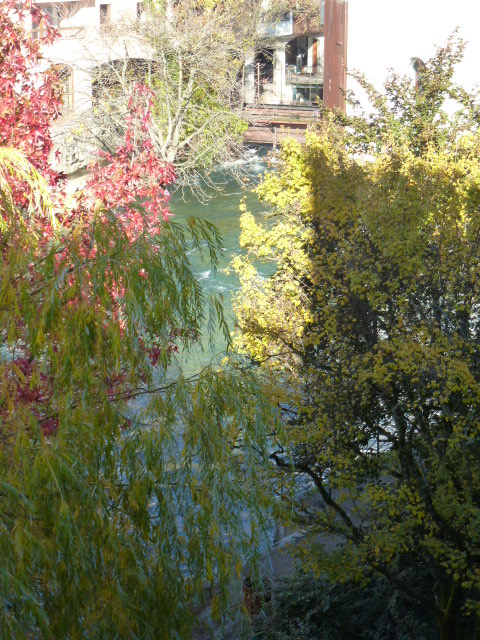       ANNECY,  LA VENISE DES ALPES