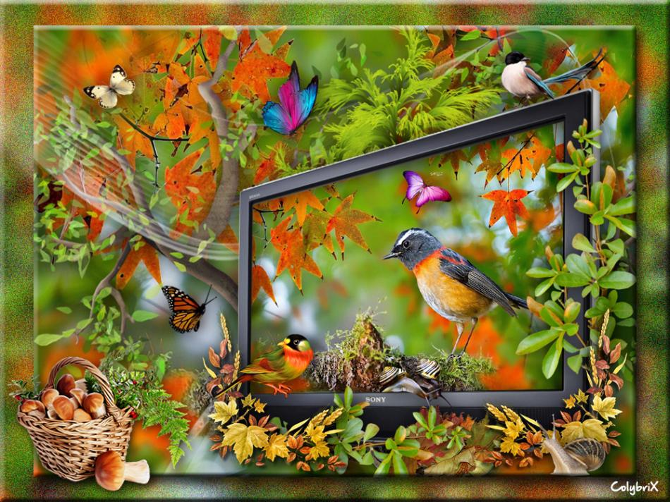 Tutos d'Elise Photoshop