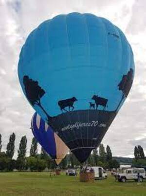 season balloons castle cow balloons 