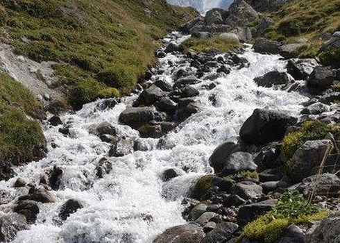 Lac des Vaches, le 11-08-2022