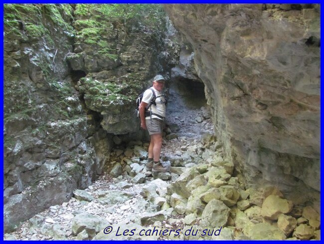 La combe de Curnier, combe de Bouisse