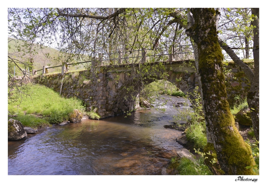 Cheylade - Cantal - Auvergne - 10 Mai 2015