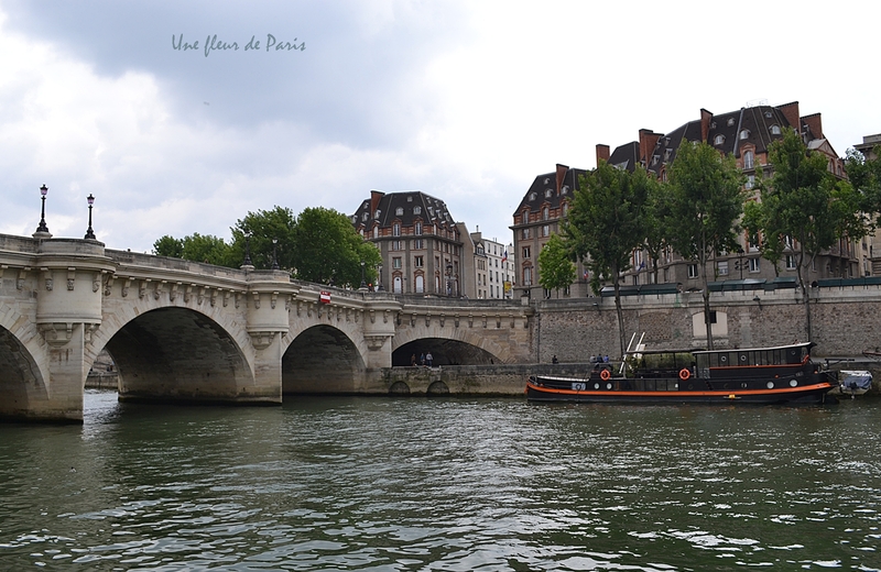 L'Île de la Cité : Le Pont Neuf