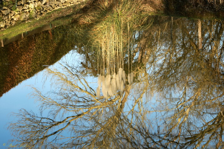 Reflets d'hiver, Hermé, février 2019