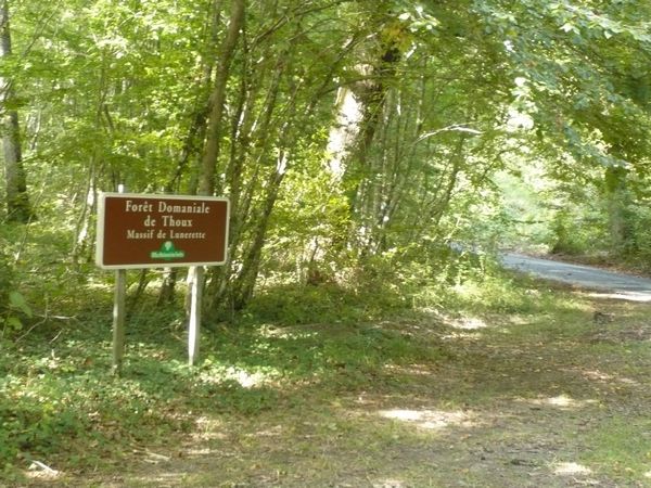 Un circuit dans les bois près de Primelles