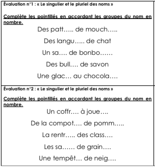 Mini évaluations en français ce2 