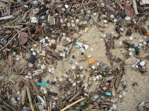 Pollution plastique des plages : un phénomène massif et récurrent