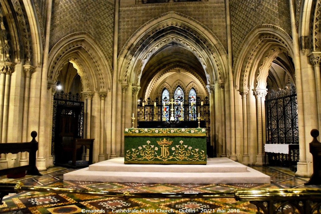 Cathédrale Christ Church - Dublin - Irlande (7)