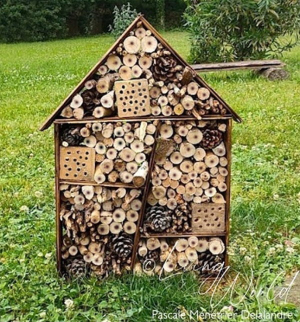 2022 - Hôtel à insectes - ND
