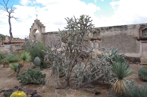 Jour 11 - #2 Mission San Xavier Del Bac