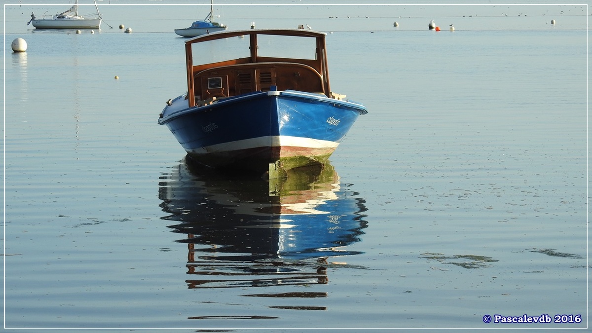 Port ostréicole de Claouey - Novembre 2016 - 2/2