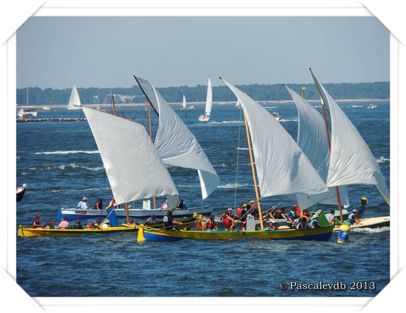 Arcachon - Fêtes de la mer 2013 - 4/4