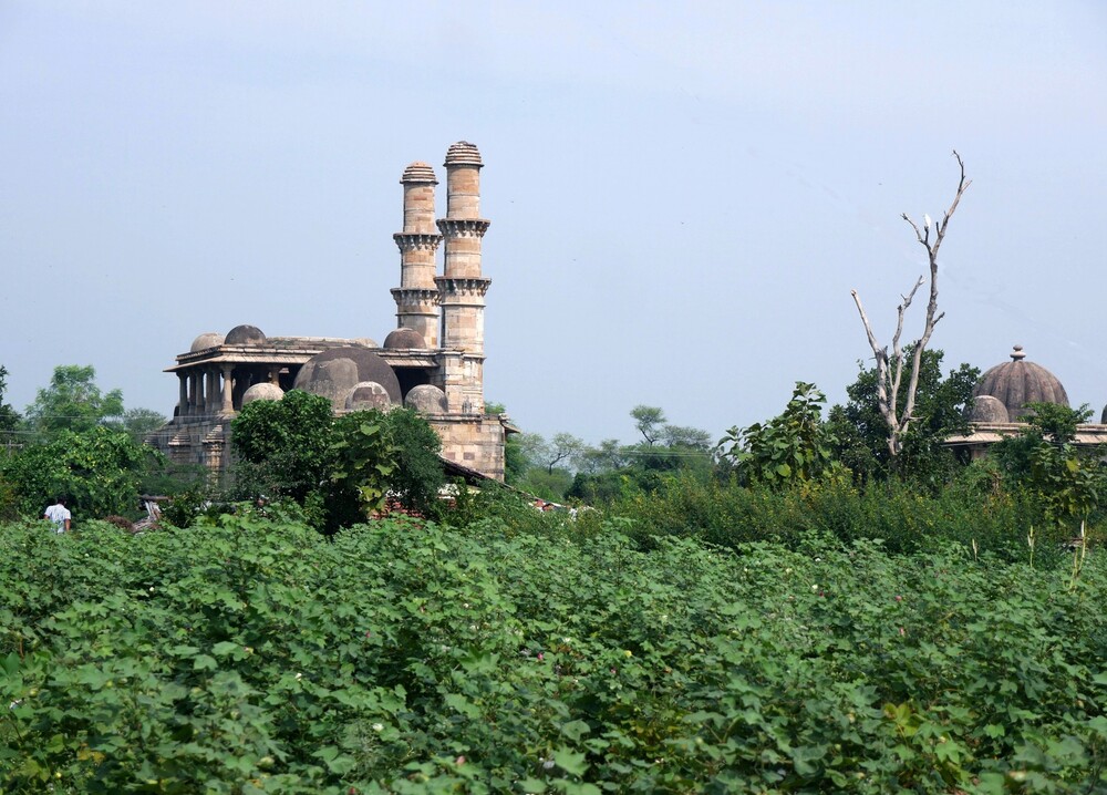 Champaner (2) - Gujarat - Inde