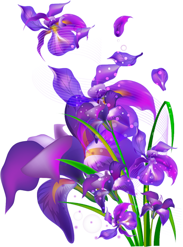 ✿*ﾟPurple flowers