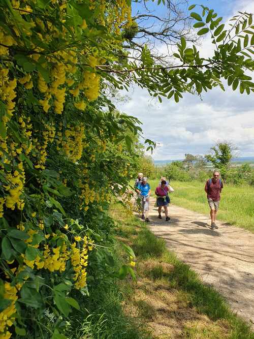 CR DES VIGNES BRULEY DU 13/05/2024