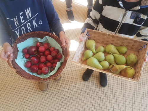 Nos fruits du jardin