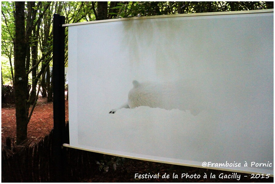 Festival Photo La Gacilly 2015