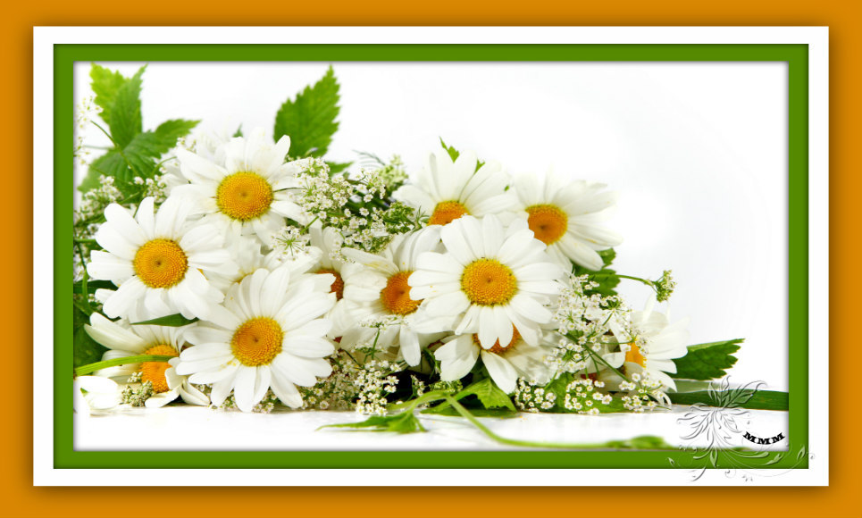 CAPAS-MMM-432-Bouquet-flowers-daisies-1.jpg