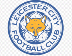 Premier League : les infos sur Leicester 
