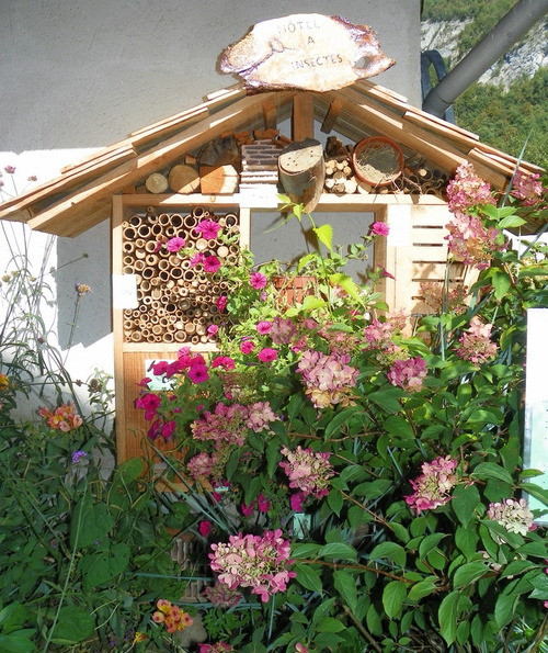 L'hôtel à insectes