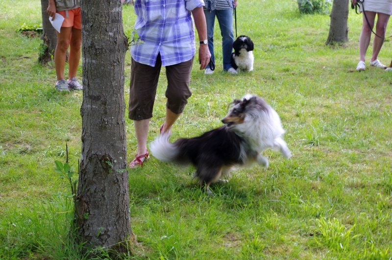 Entraînement du samedi 02 juin 2012