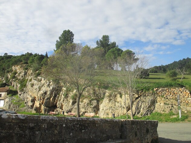 La fête de l'arbre