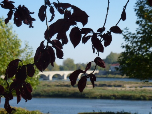 COULEURS D'AUTOMNE A BEAUGENCY