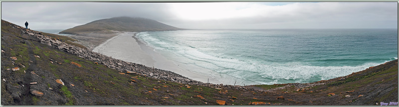 Vues panoramiques sur "The Neck", mais la météo se gâte à la vitesse V !  - The Neck (Le Détroit) - Saunders Island - Falkland (Malvinas, Malouines) - Grande-Bretagne