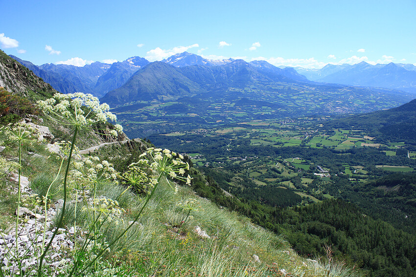 Sur la route du col du Noyer un air de liberté....