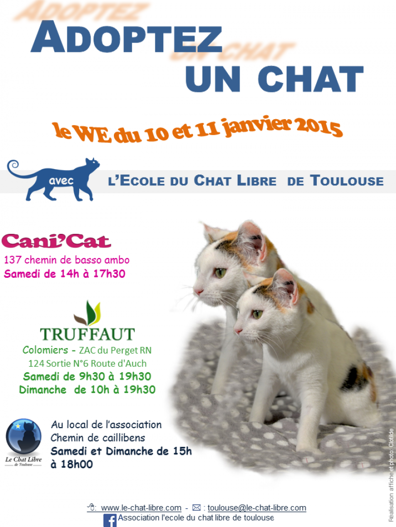 chat colomiers
