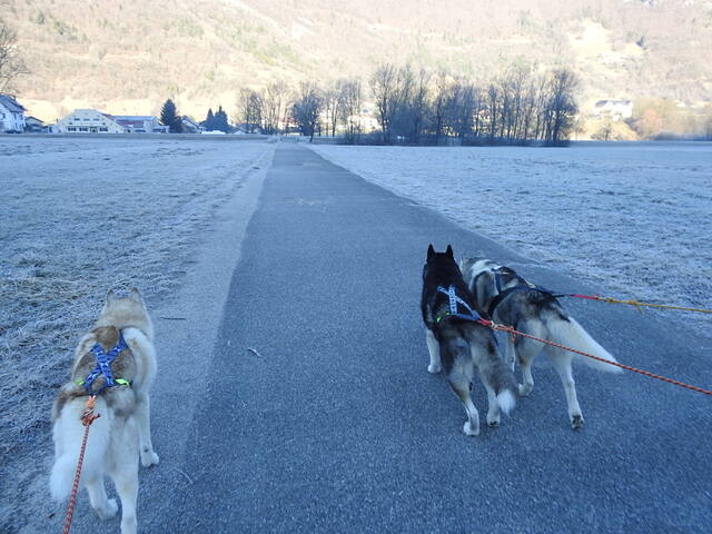 Randonnée vers Marlens en direction d'Annecy