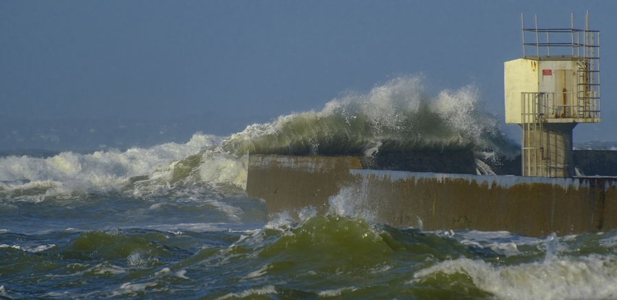 Vagues et plumes.