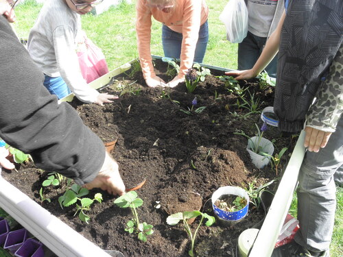 Jardin en fleur, plantatiions