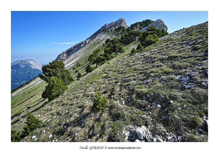 Chamechaude et sommet et sangle de la Chartreuse