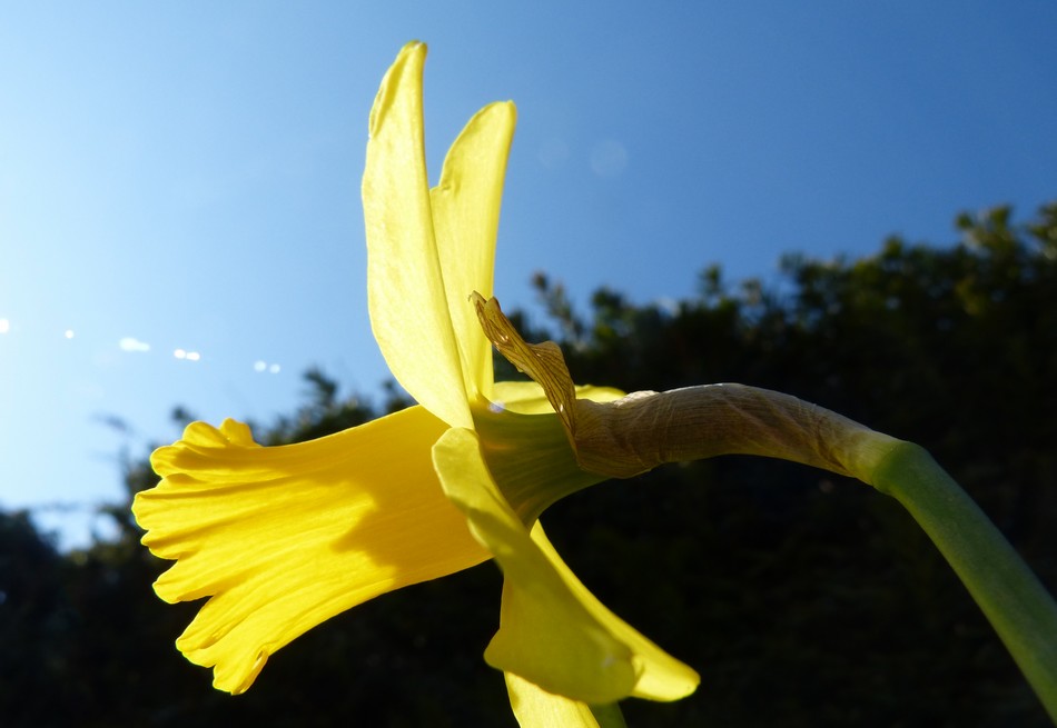 Anniclick sous le soleil de Mars