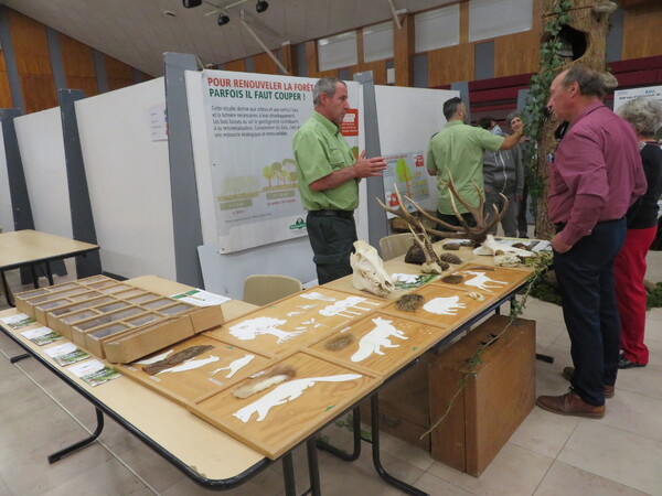 Des artisans et une conférence sur la fonge et la flore du Châtillonnais, ont animé l'exposition mycologique de Montbard.