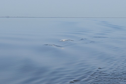 Senegal-Pointe-Sarene--Le-Sine-Saloum-Joal-Fad-copie-11.JPG