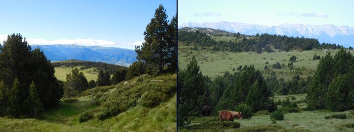 * FONT-ROMEU le pic dels Moros